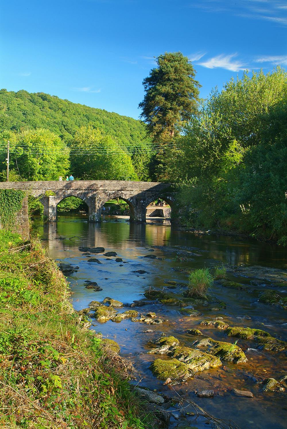 Somerset River | Somerset Holiday Park