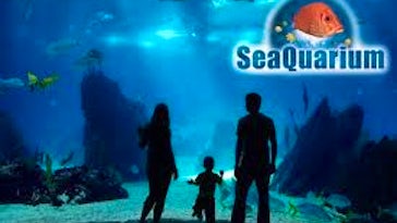 Seaquarium