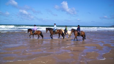 Mullacott Equestrian Centre