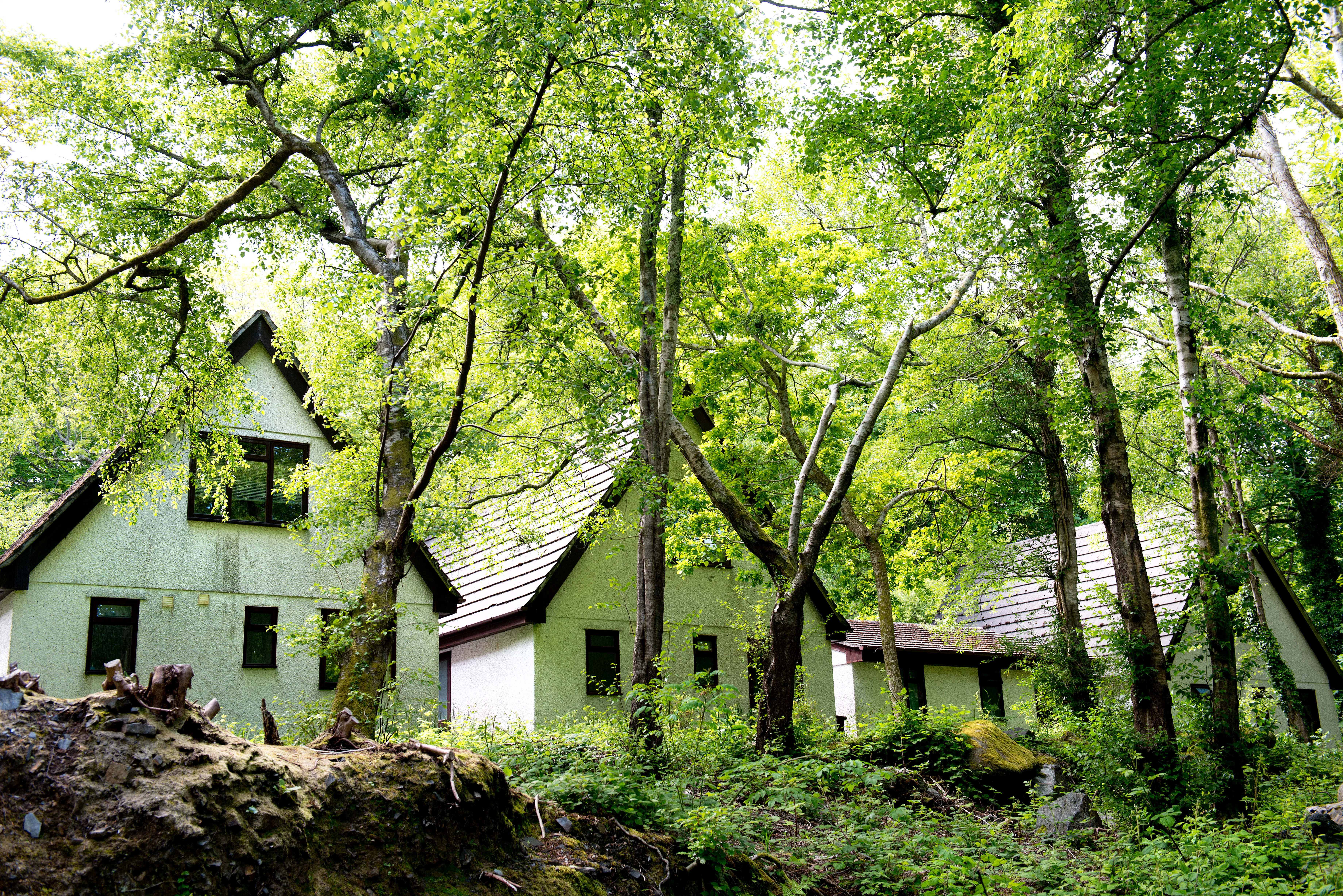 3 Bed Bronze Woodland Chalet Pet