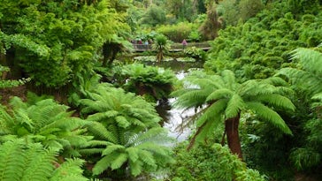 Lost Gardens of Heligan