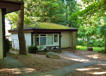 Bronze woodland bungalow Pet | St Ives