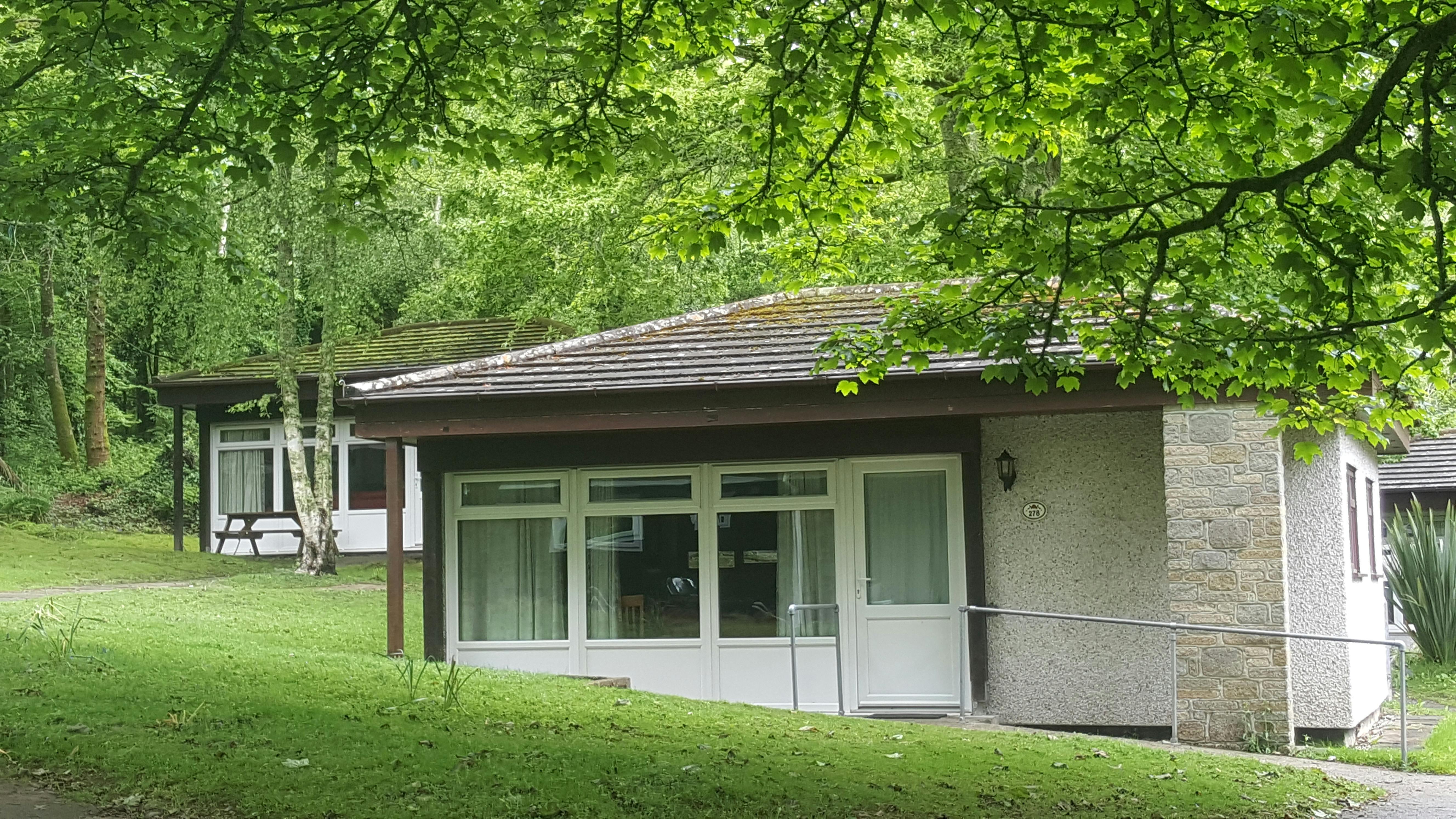 Bronze woodland bungalow | St Ives