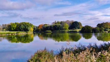 Apex Park Lakeside Walk