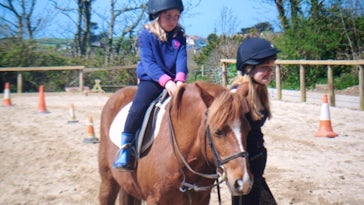 Broomhill Manor Stables