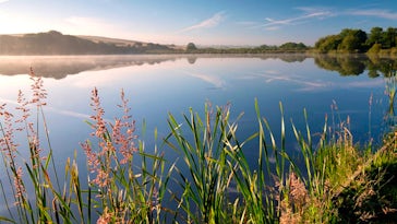 Tamar Lakes