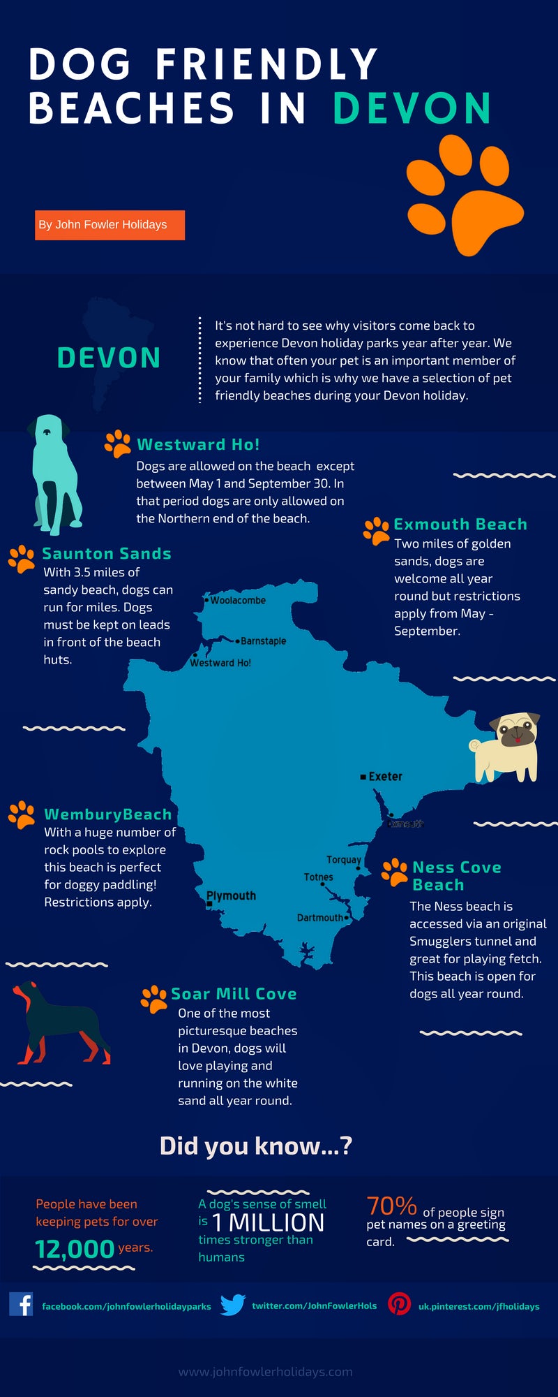 Dog friendly beaches in Devon | JFH Infographic
