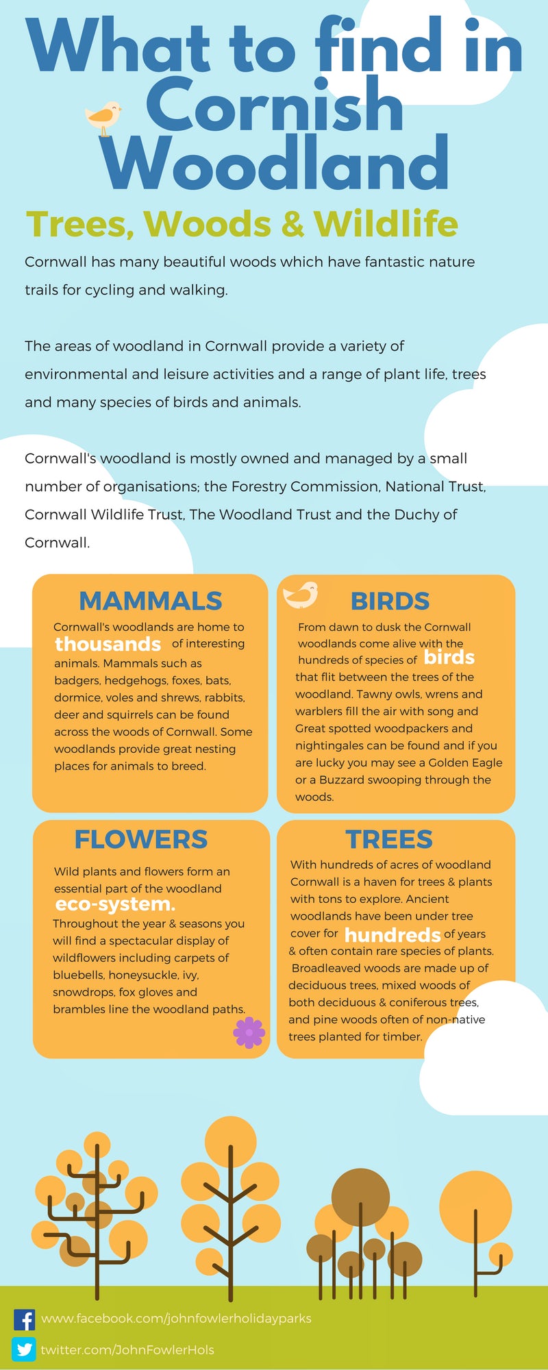 What to find in Cornish Woodland