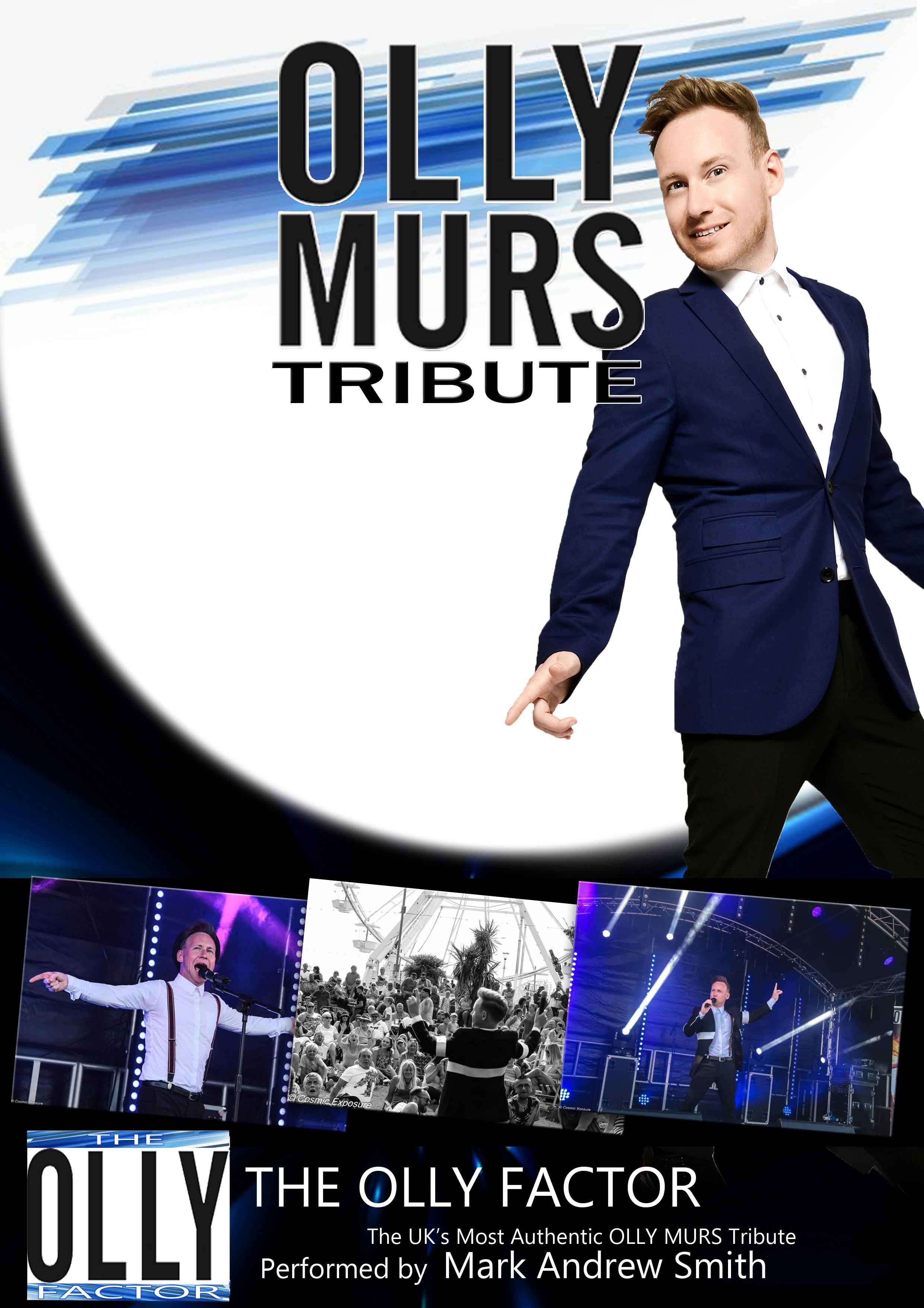 The Olly Factor by Mark Andrew Smith