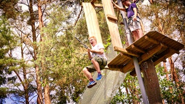 Go Ape Margam