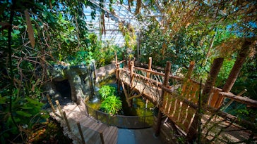 Plantasia