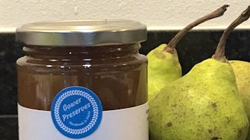 Gower Preserves