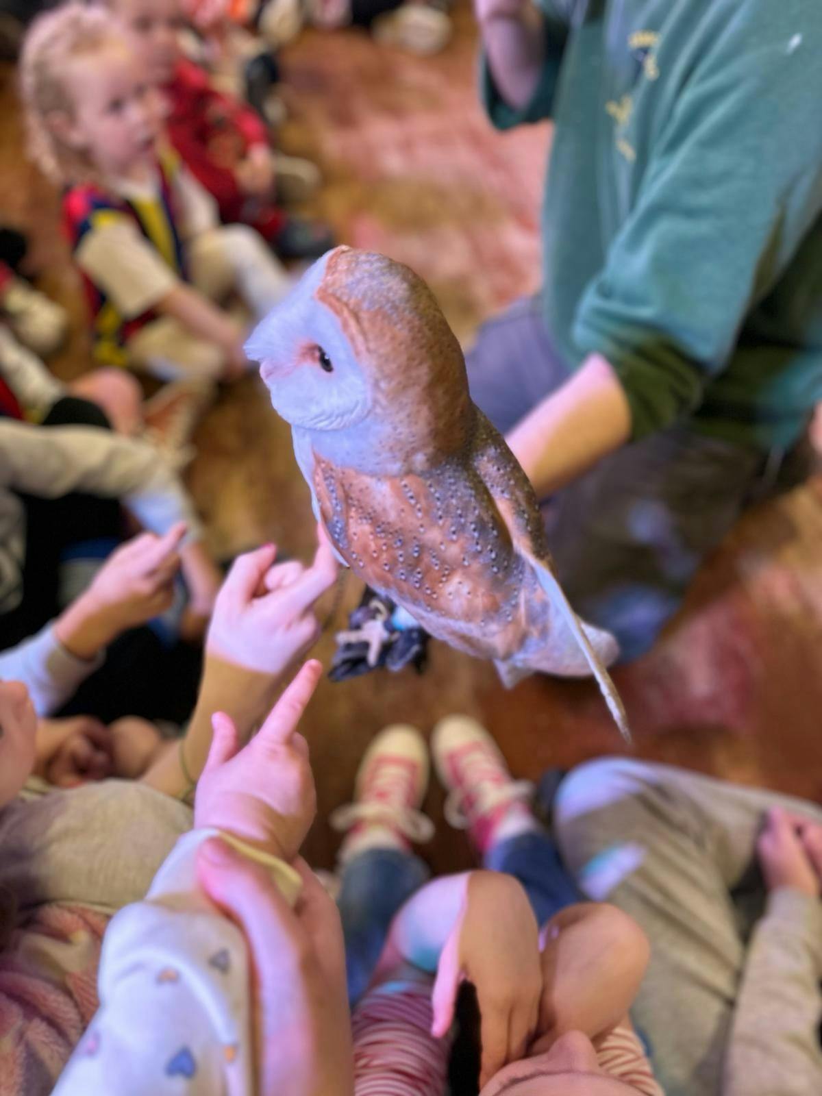 Exmoor Zoo Animal Encounters