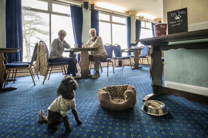 Dog Friendly Pubs in Cornwall