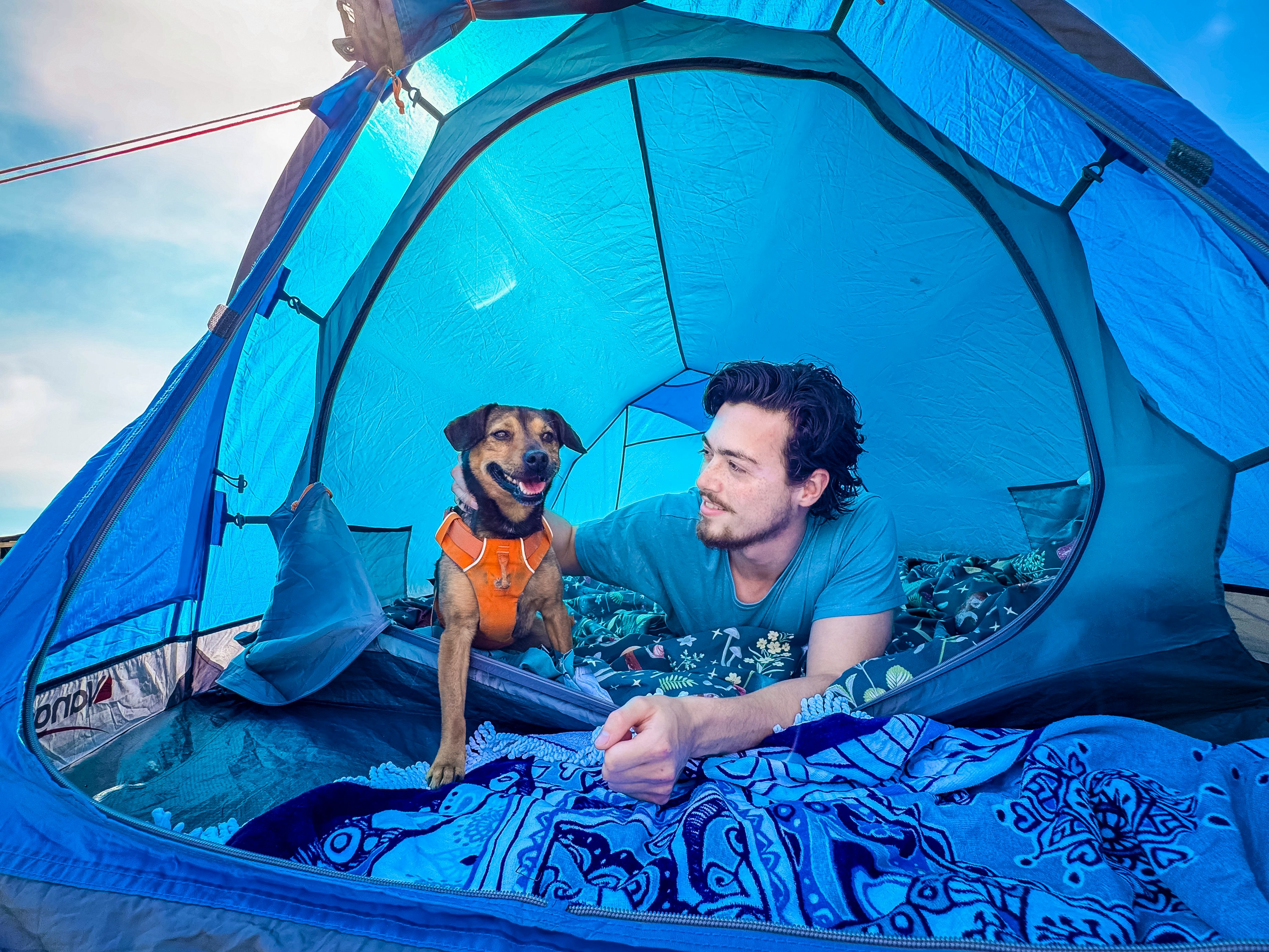 Dog-friendly holidays. Pet-friendly holiday parks. Family holidays UK. Summer holidays.