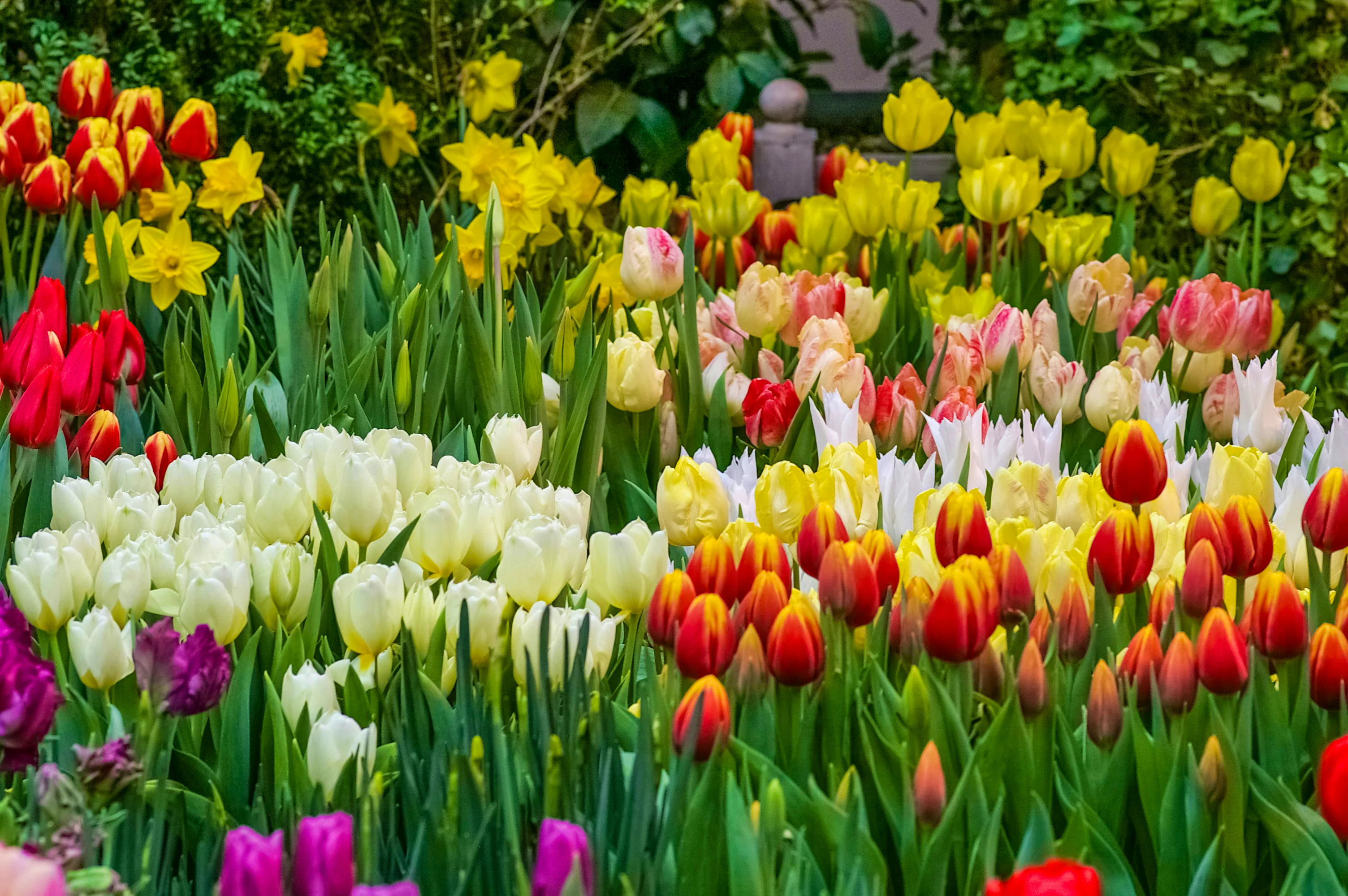 Spring Days Out Foxy Blog | John Fowler Holidays