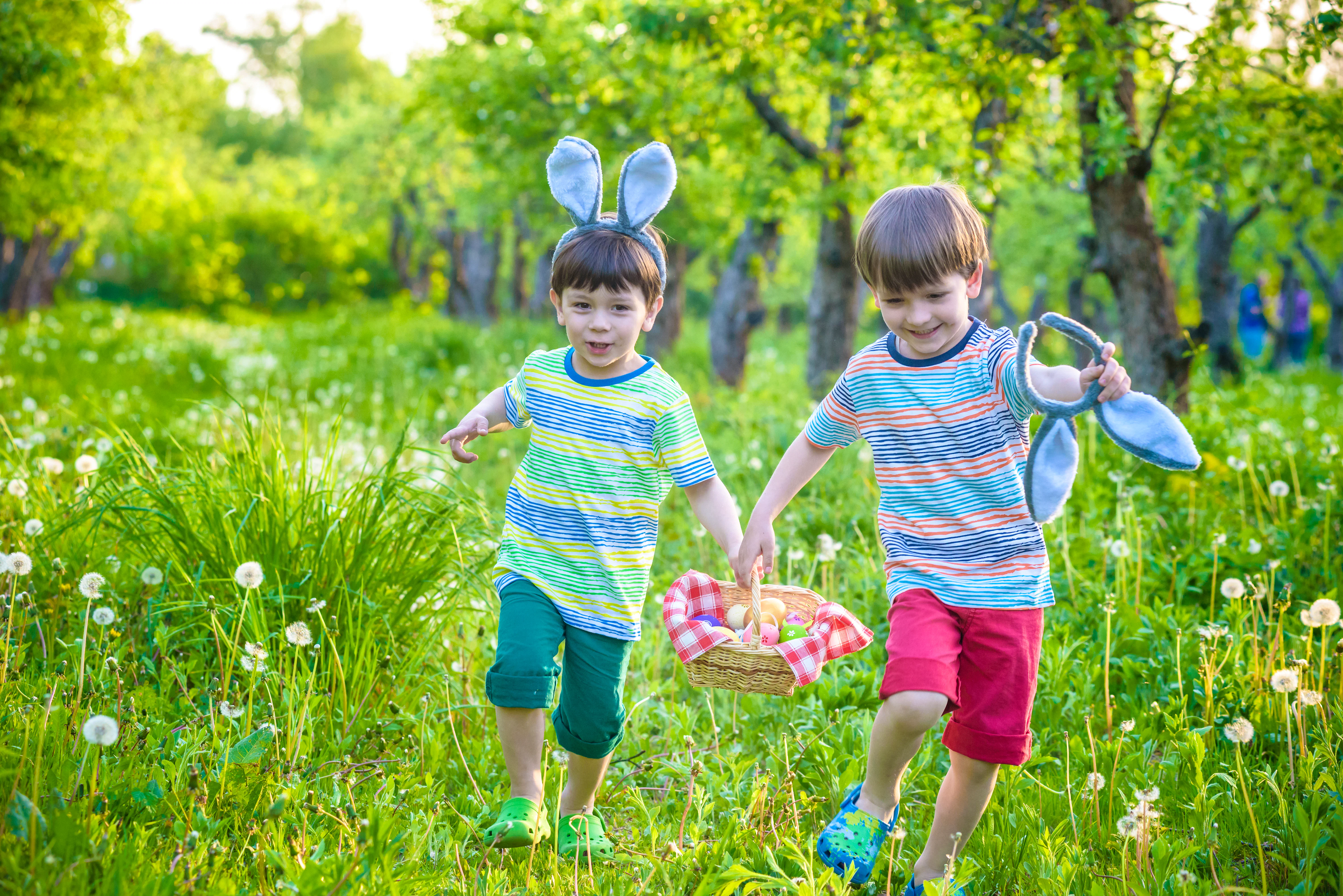 Easter entertainment. Dog-friendly holiday parks. Family holidays. Easter breaks.