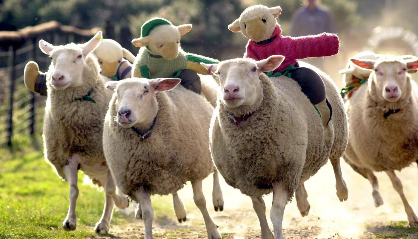 The Big Sheep